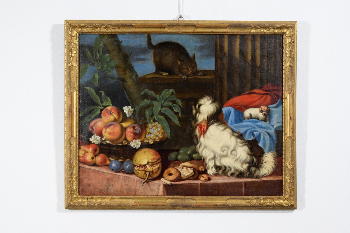  Nature Morte Avec Des Fruits, Des Chiens Et Un Chat, Italie, XVIIe Siècle-photo-3