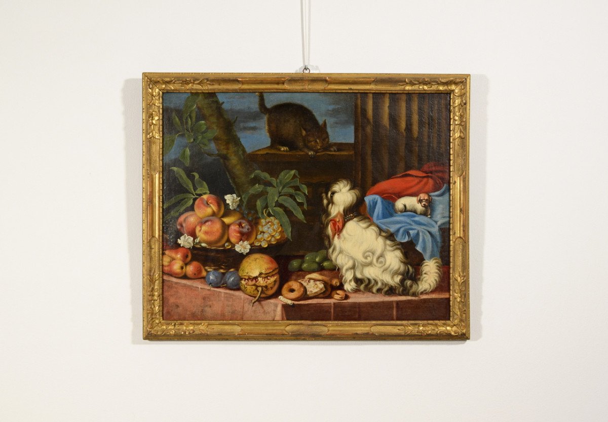  Nature Morte Avec Des Fruits, Des Chiens Et Un Chat, Italie, XVIIe Siècle-photo-4