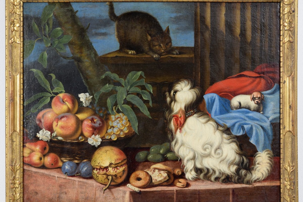  Nature Morte Avec Des Fruits, Des Chiens Et Un Chat, Italie, XVIIe Siècle-photo-1