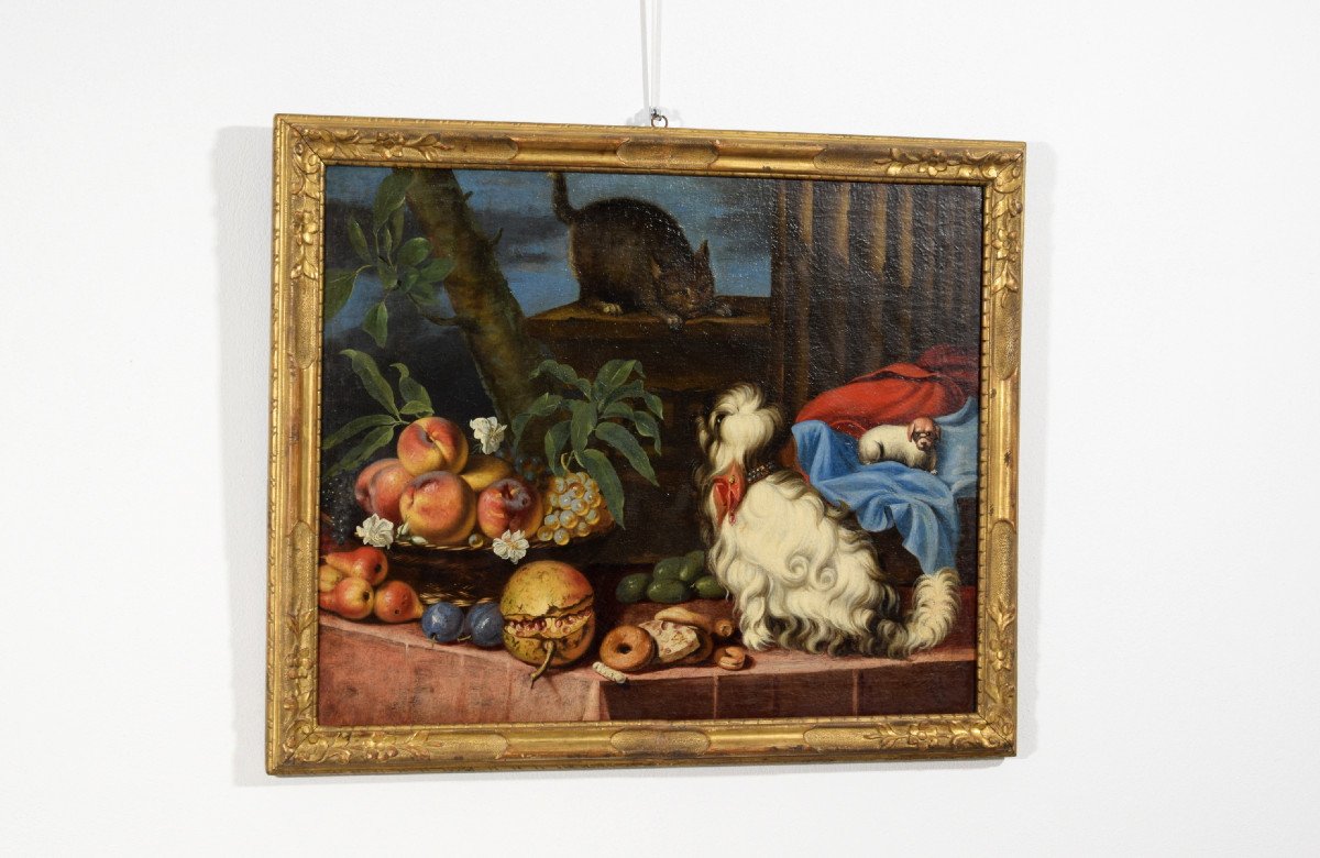  Nature Morte Avec Des Fruits, Des Chiens Et Un Chat, Italie, XVIIe Siècle-photo-2