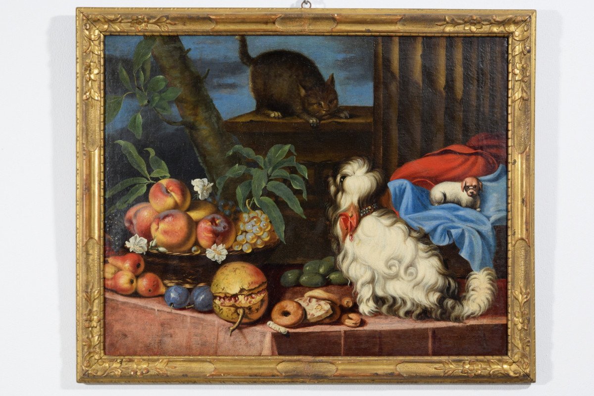  Nature Morte Avec Des Fruits, Des Chiens Et Un Chat, Italie, XVIIe Siècle-photo-8