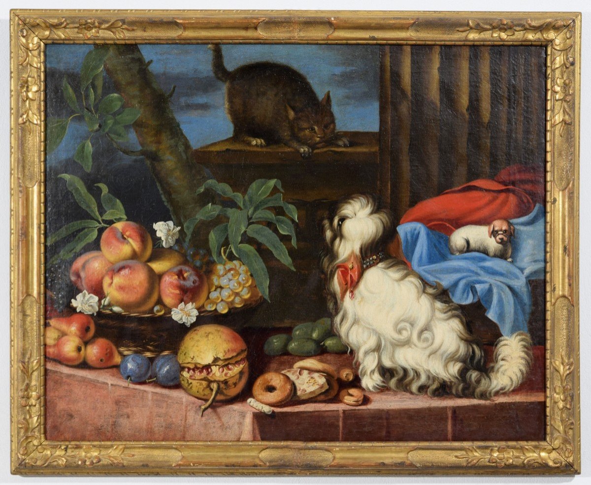  Nature Morte Avec Des Fruits, Des Chiens Et Un Chat, Italie, XVIIe Siècle