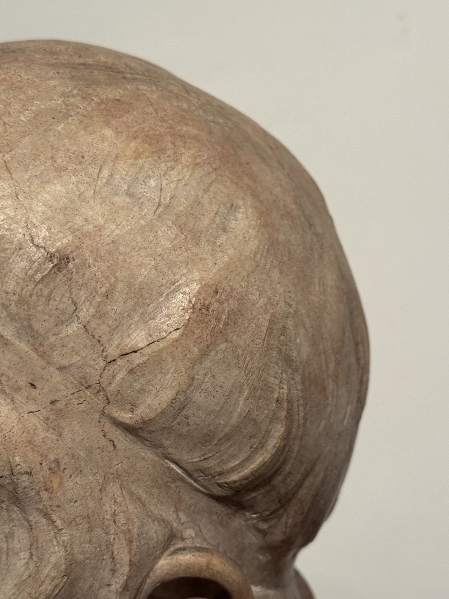 Buste de jeune homme en marbre.Constant Roux.-photo-2