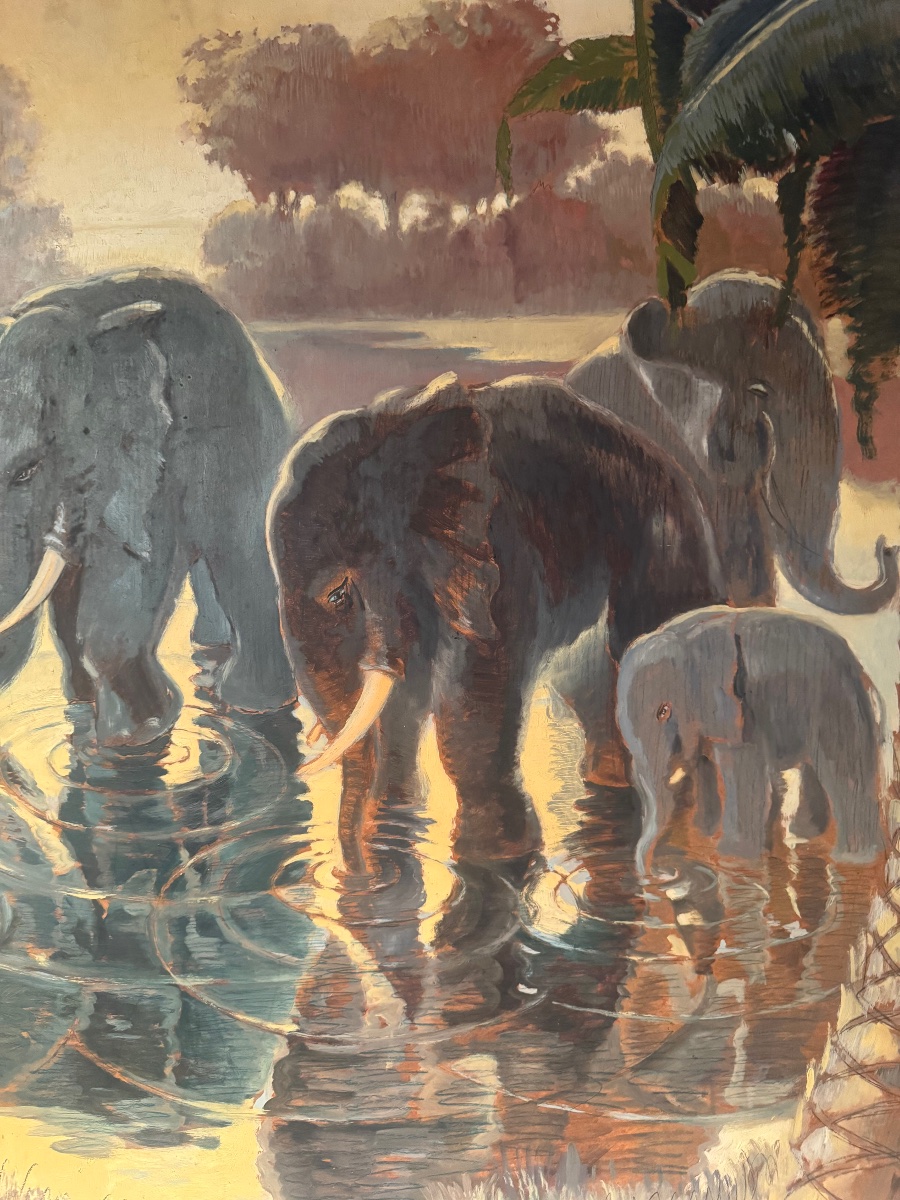 Famille d’éléphants dans la jungle par Bolle-Reddat.-photo-4