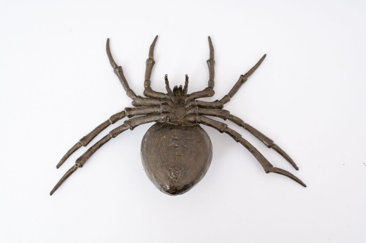 Japanese Jizai Okimono Spider, 19th Century-photo-2