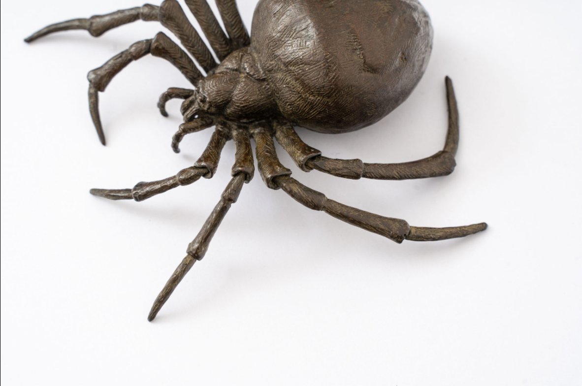 Japanese Jizai Okimono Spider, 19th Century-photo-4