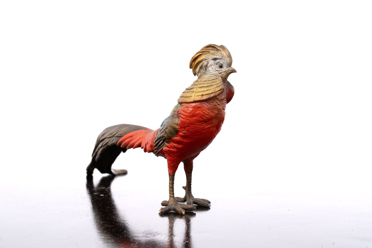 Oiseau en bronze peint à froid – Vienne, vers 1900-photo-2