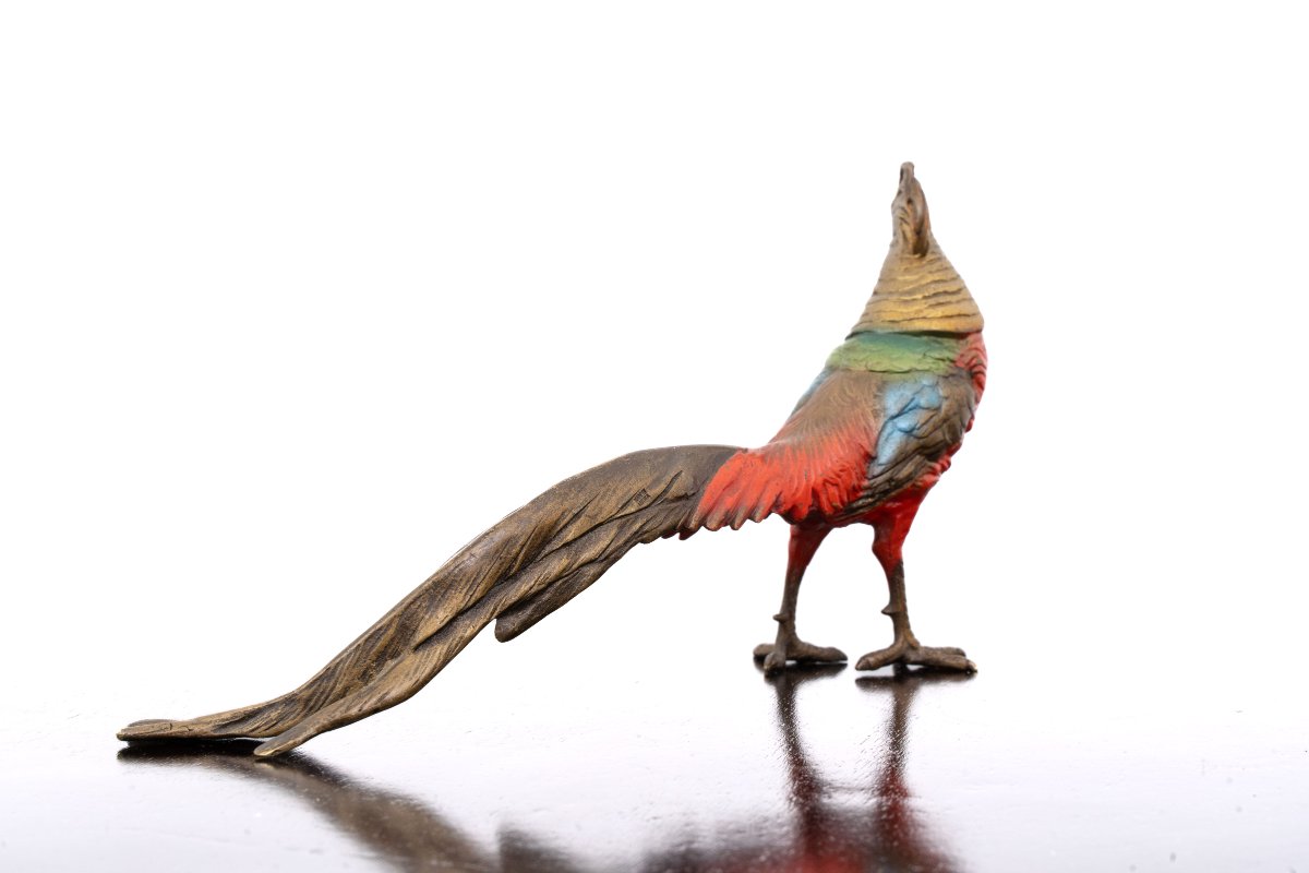 Oiseau en bronze peint à froid – Vienne, vers 1900-photo-4