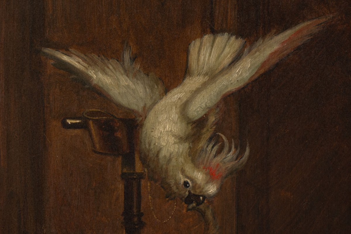 Carl Reichert (1836–1918) : Carlins et cacatoès – paire de tableaux-photo-1