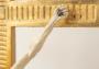 1819095-alb-6aa16f8739b4a.jpg
