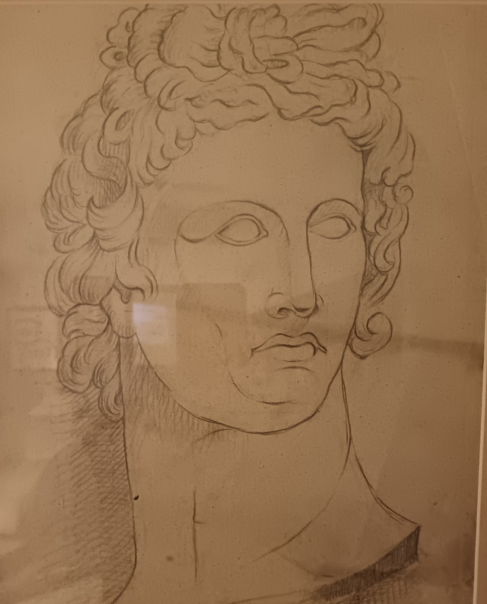 Charcoal Drawing 800 Antino-photo-2