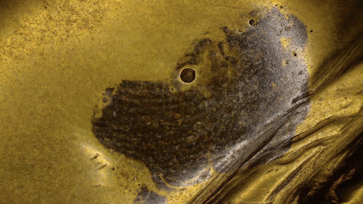 Bouddha tibétain en bronze à vestiges de dorure – Himalaya, XIXe siècle-photo-7