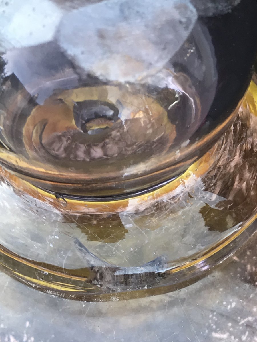 Cloche Verre Ou Cristal Soufflé violine Cabinet De Curiosité XIX-photo-1