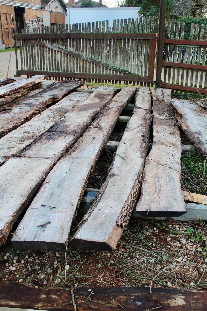 Lot Of Old Trays In Oak And Ash-photo-3