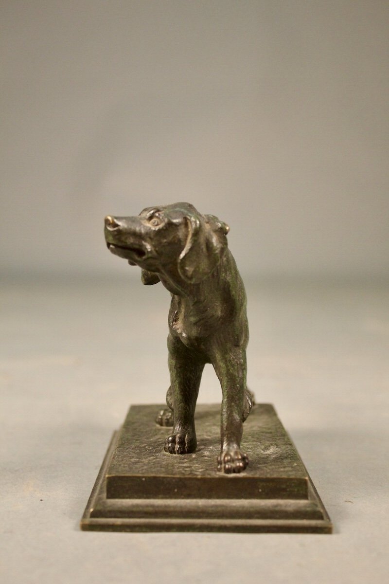 Nineteenth Bronze Hunting Dog-photo-2