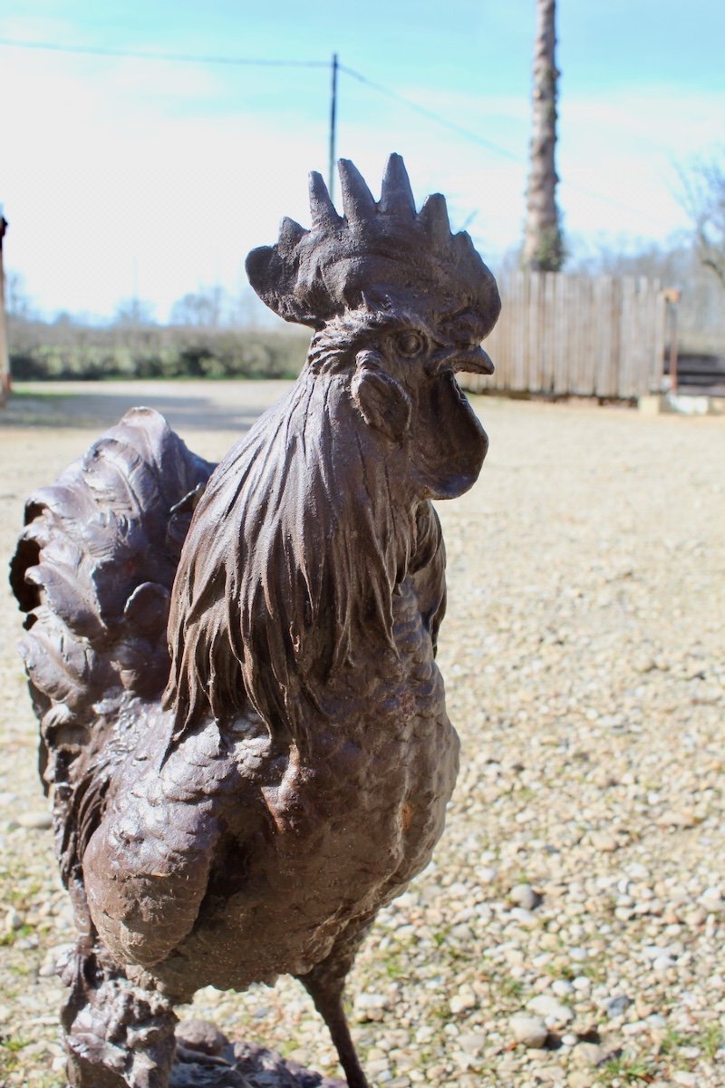 Cast Iron Rooster-photo-1