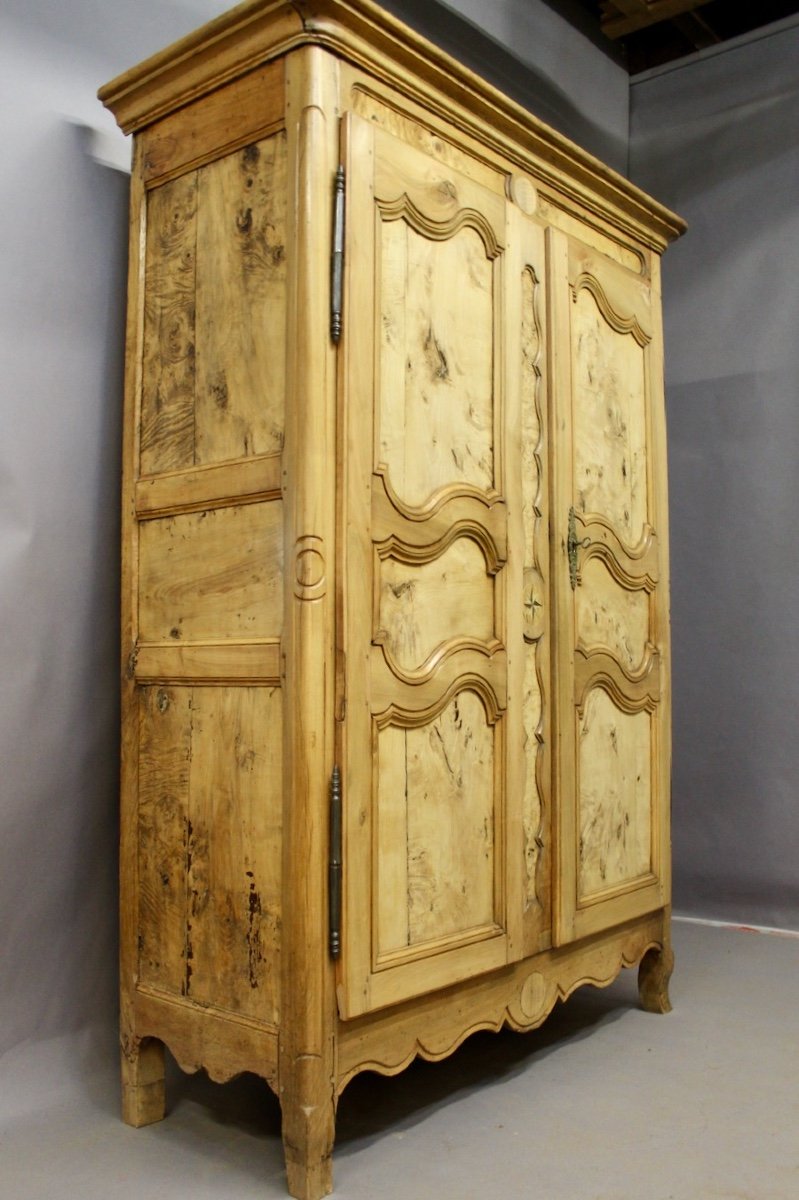 19th Century Bressane Cabinet Burl Ash-photo-5