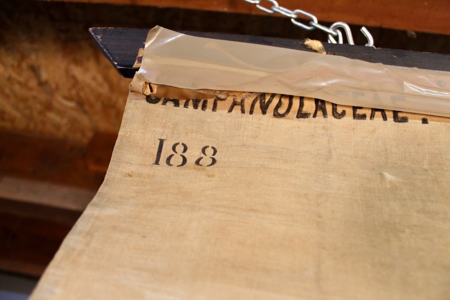 Educational Poster, Botanical Chart Of Campanulaceae-photo-4