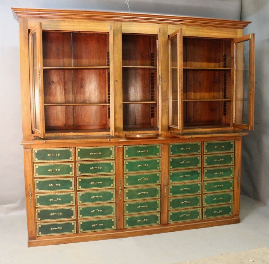 Important 19th Century Mahogany Carton Library-photo-2