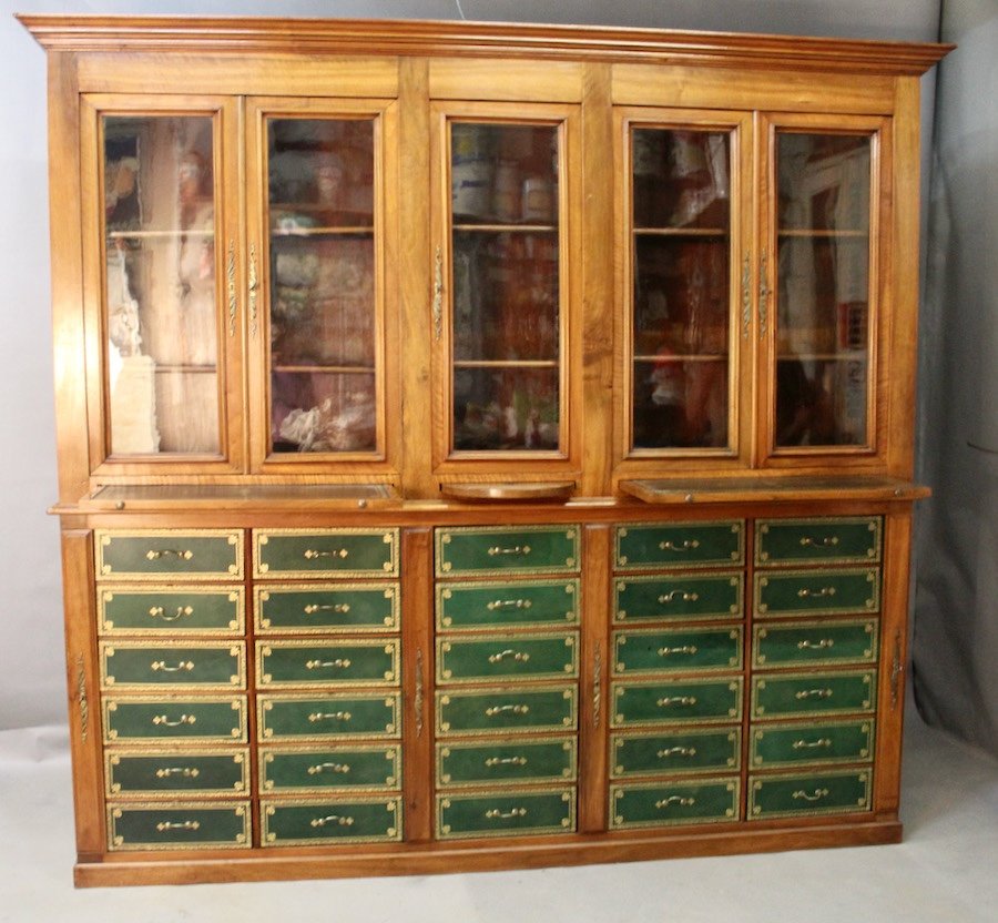 Important 19th Century Mahogany Carton Library-photo-4