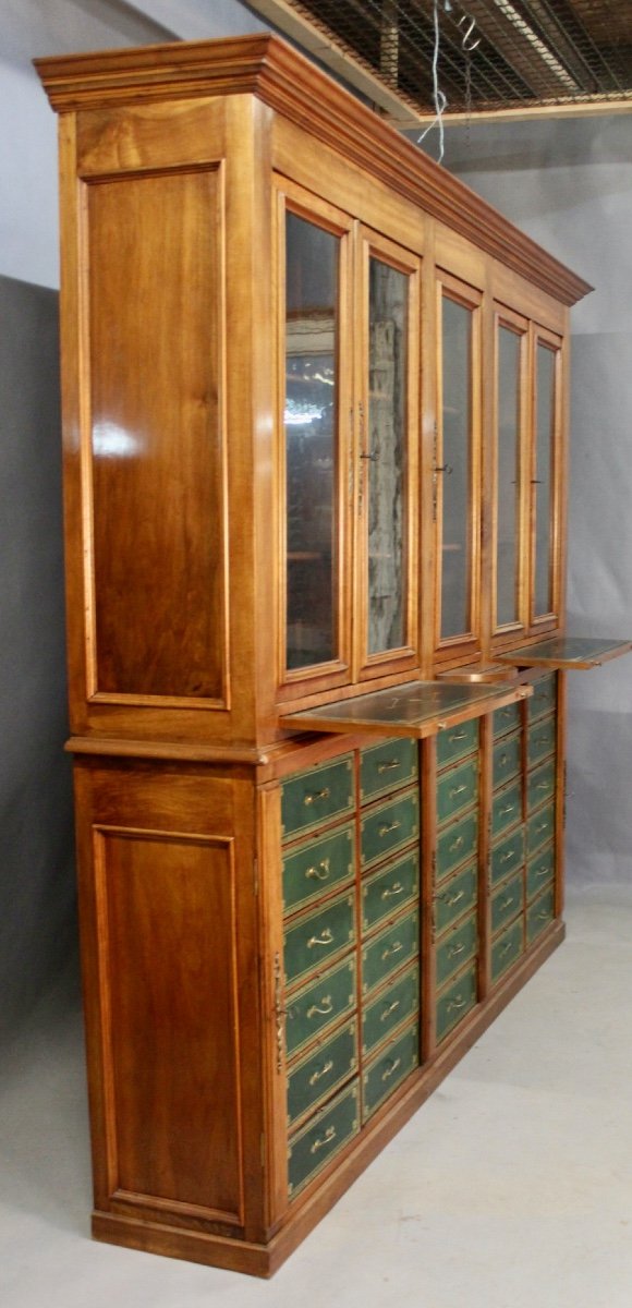 Important 19th Century Mahogany Carton Library-photo-2