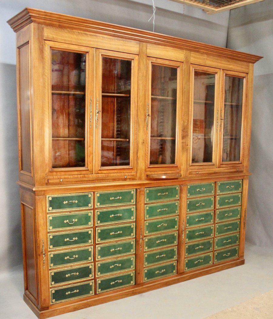 Important 19th Century Mahogany Carton Library