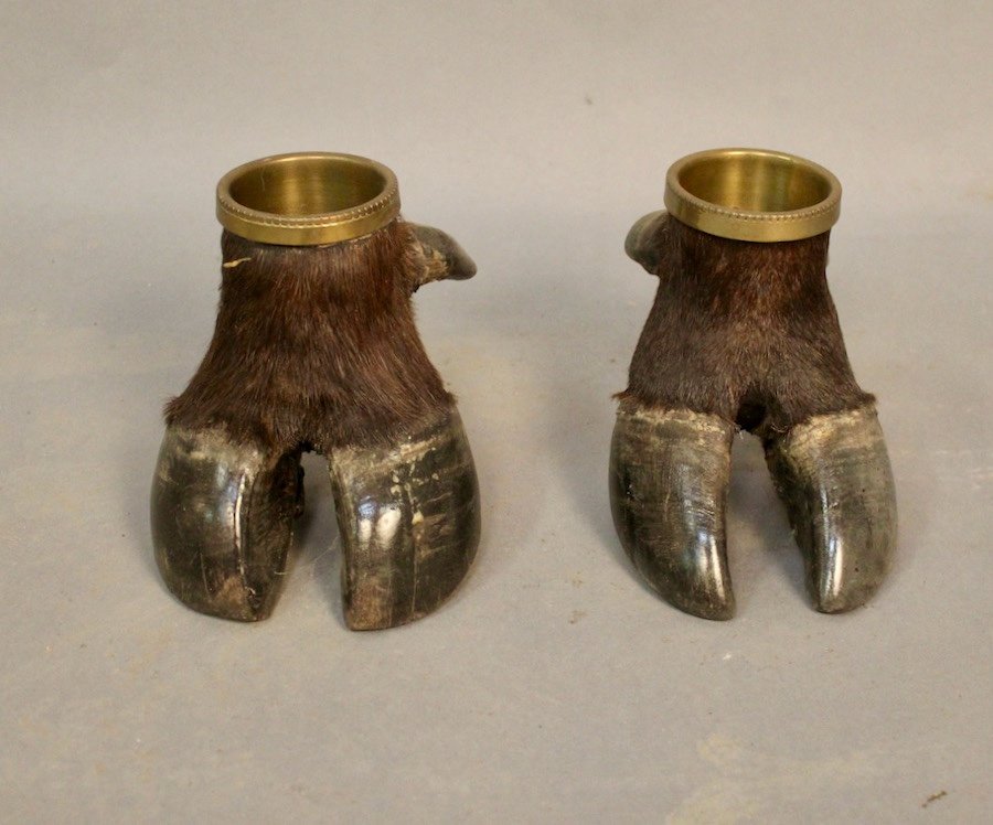 Pair Of Buffalo Feet Mounted In Empty Pocket