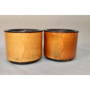 Pair Of Hobby Flower Pots With Interior