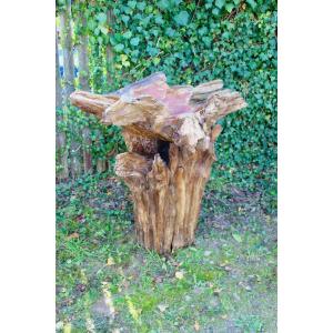 Teak Root Pedestal Sink.