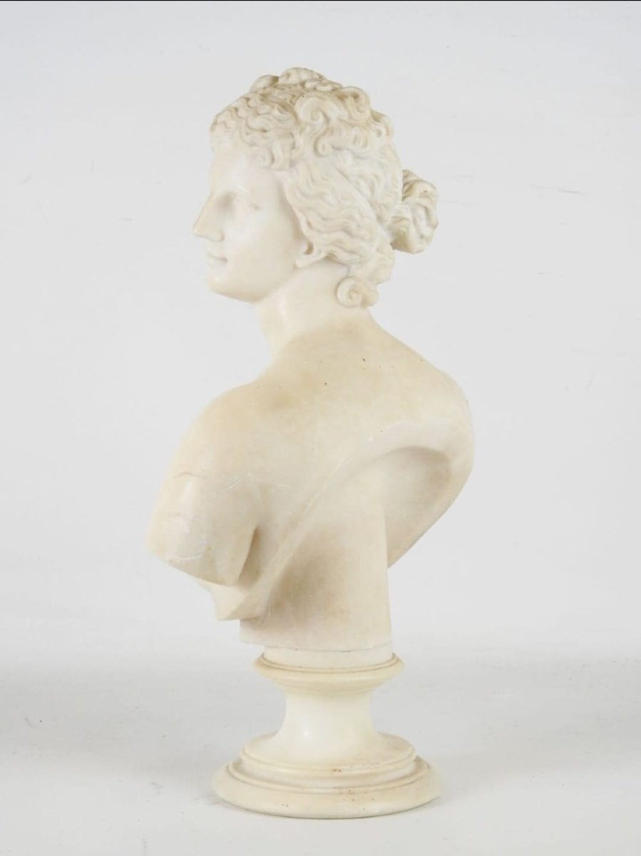 Neoclassic Bust Of Venus De' Medici, 18th Century, Italy-photo-2