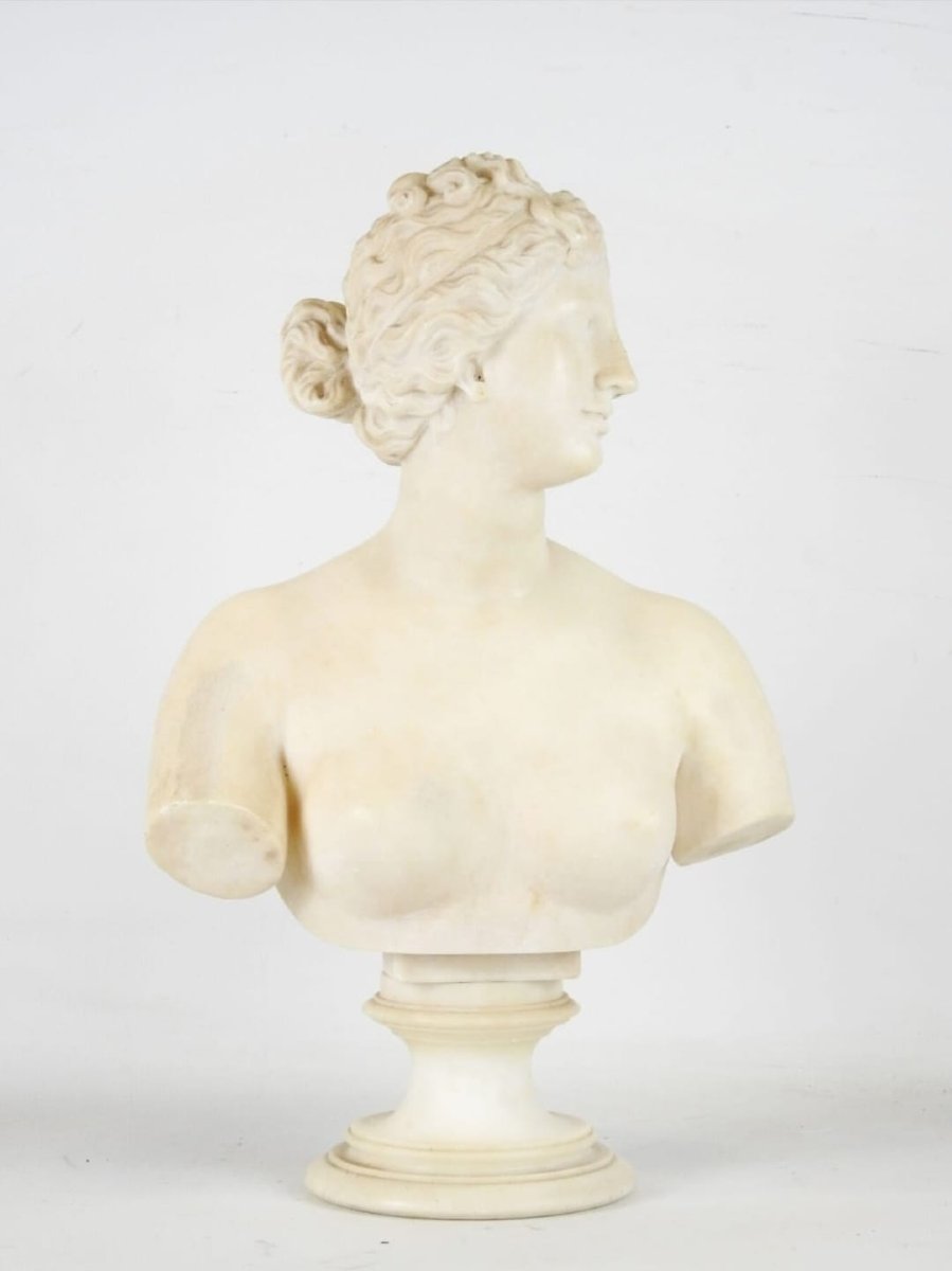 Neoclassic Bust Of Venus De' Medici, 18th Century, Italy-photo-3
