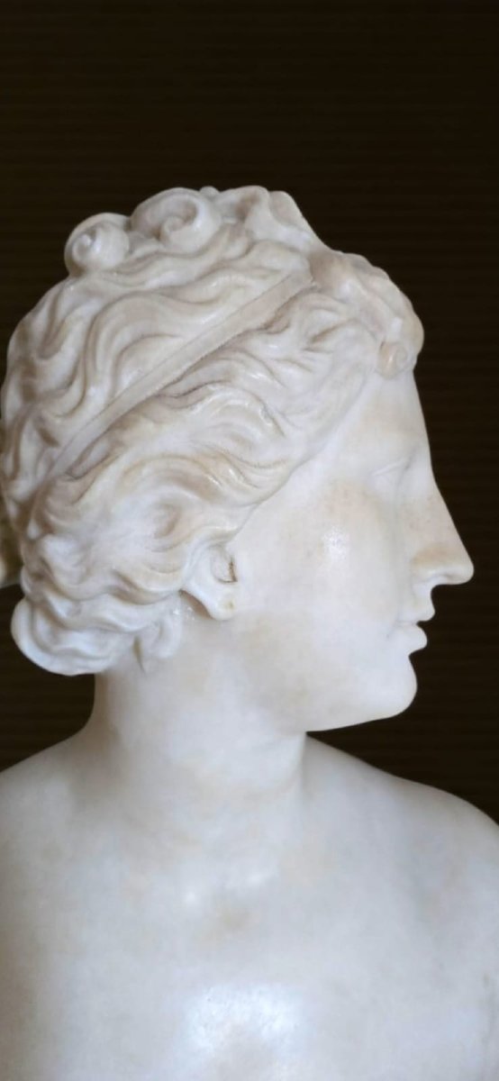 Neoclassic Bust Of Venus De' Medici, 18th Century, Italy-photo-4