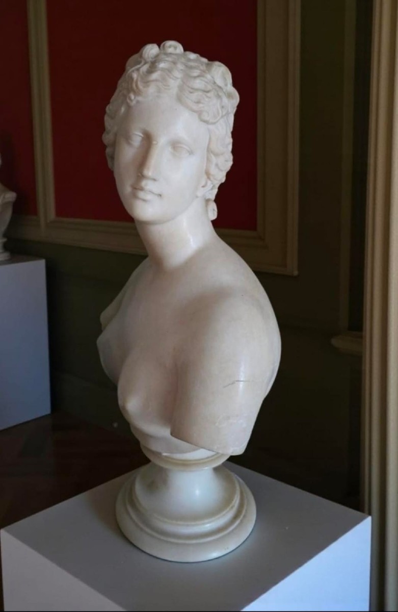 Neoclassic Bust Of Venus De' Medici, 18th Century, Italy