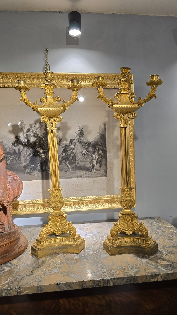 Grande paire de candelabres en bronze doré , XIXe siècle-photo-8