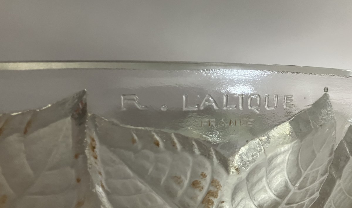 R. Lalique applique modèle "Charmes" en verre moulé à la presse d'époque Art Déco vers 1930-photo-2
