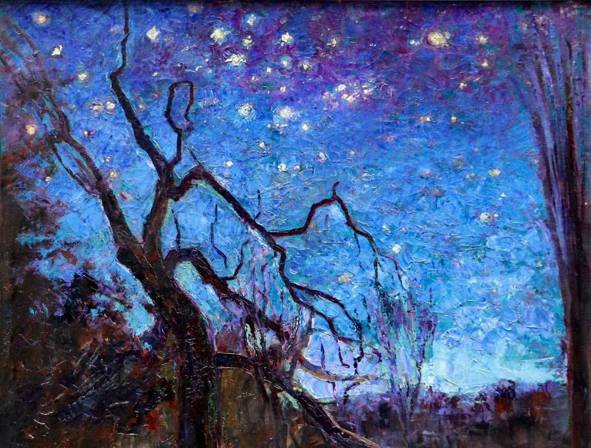 Jacobus Johannes Doeser (1884 - 1970), Starry Night By A Pond-photo-2