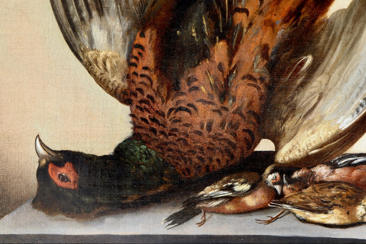 Jacobus Van Der Hagen (1657 - 1715), Hunting Still Life With A Pheasant -photo-7