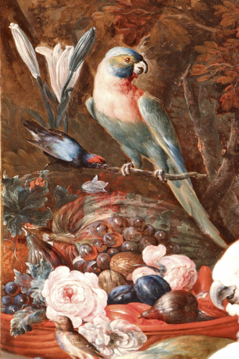 Willem Van Royen II (1672 - 1742), Birds In A Park-photo-5