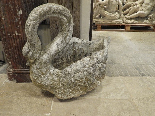 Antique Cast Stone Swan, 20st Century-photo-2