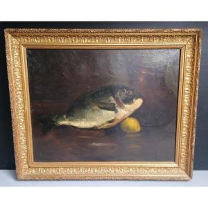 Peinture Nature Morte - " La Dorade "  – XIX ème - Monogramme En Signature