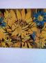 1763638-alb-6a0de8e2654d9.jpg