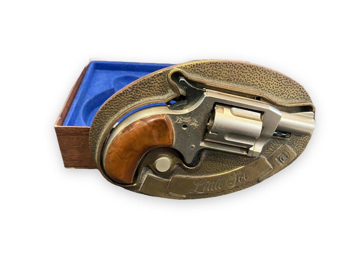 Proantic Little Joe Belt Buckle Containing Stun Gun