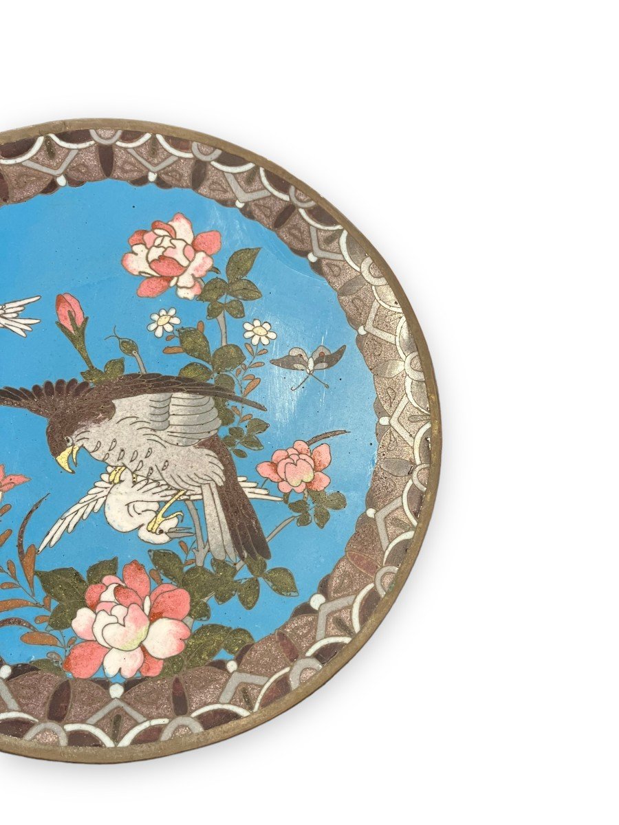 Plat en émail cloisonné Japon XIXeme "Aigle Chassant"-photo-4