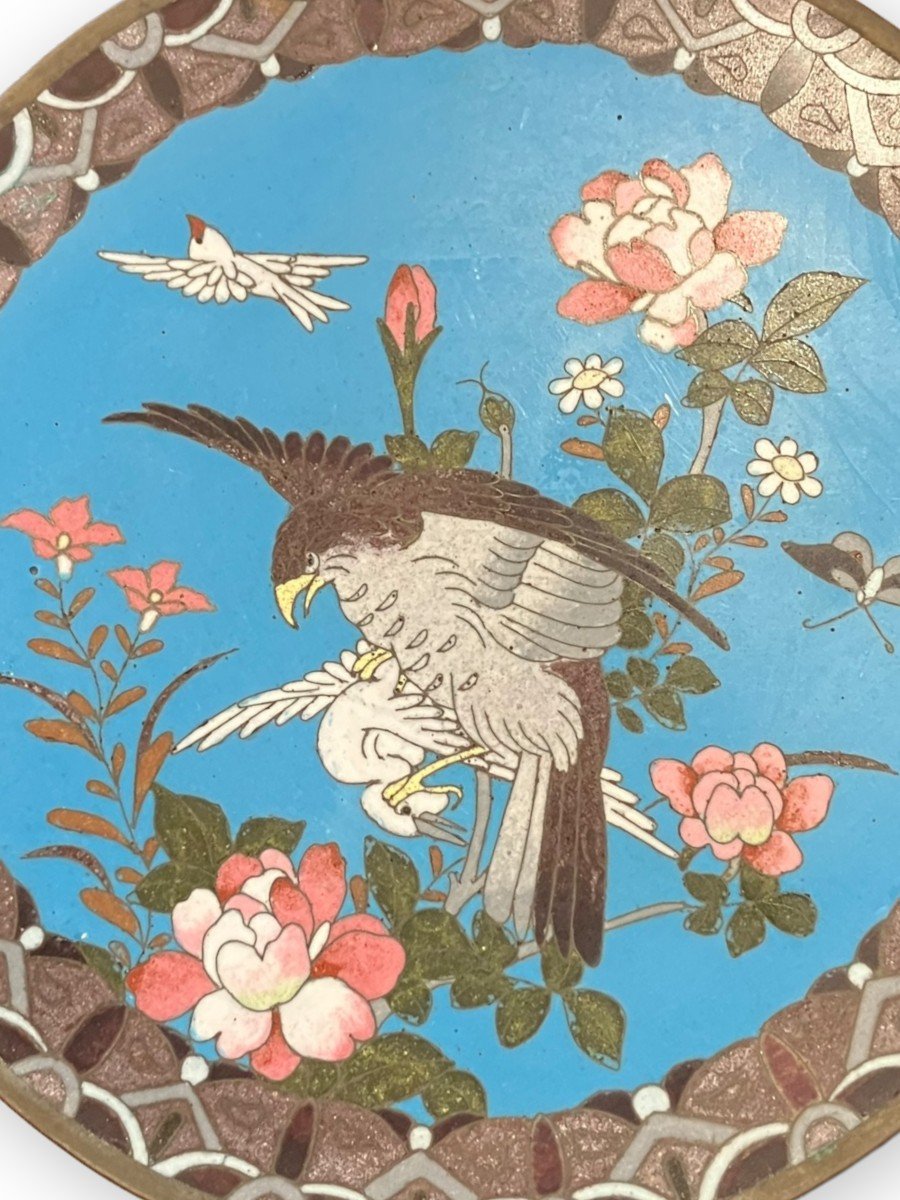 Plat en émail cloisonné Japon XIXeme "Aigle Chassant"-photo-2