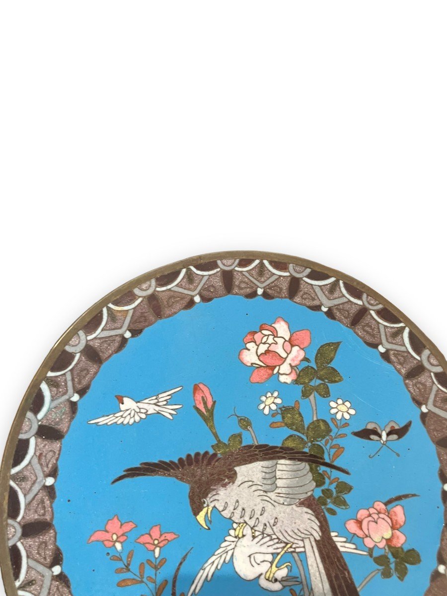 Cloisonne Enamel Dish Japan XIXth "hunting Eagle"-photo-6