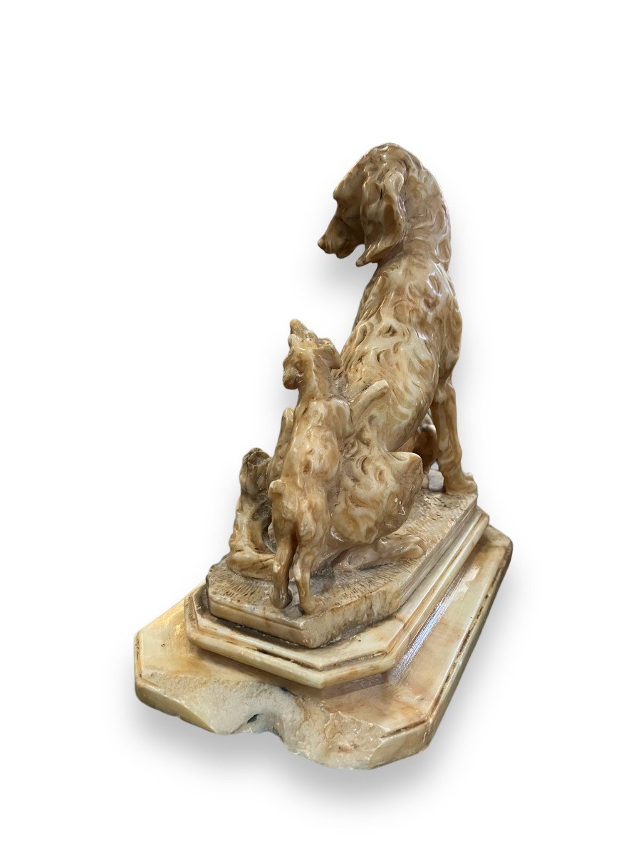 Dog In Stone Of Alabaster 19th Century-photo-4