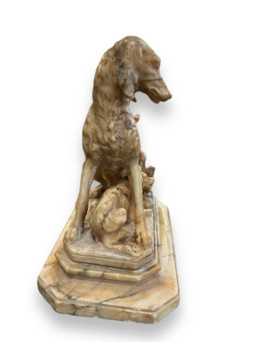 Dog In Stone Of Alabaster 19th Century-photo-7