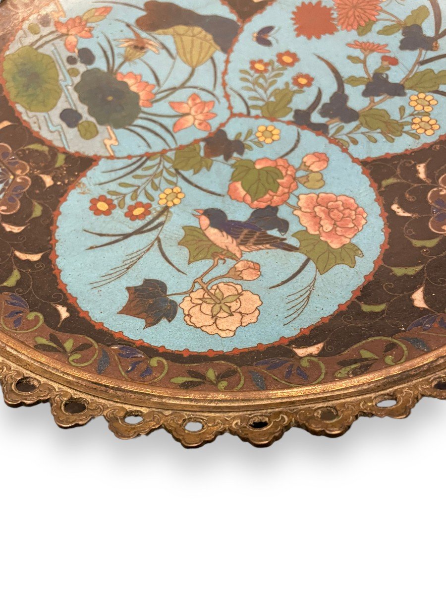 Cloisonne Enamel Dish Decorated With Dragonfly Butterflies Birds Bronze Mount 19th Century Enamels-photo-3