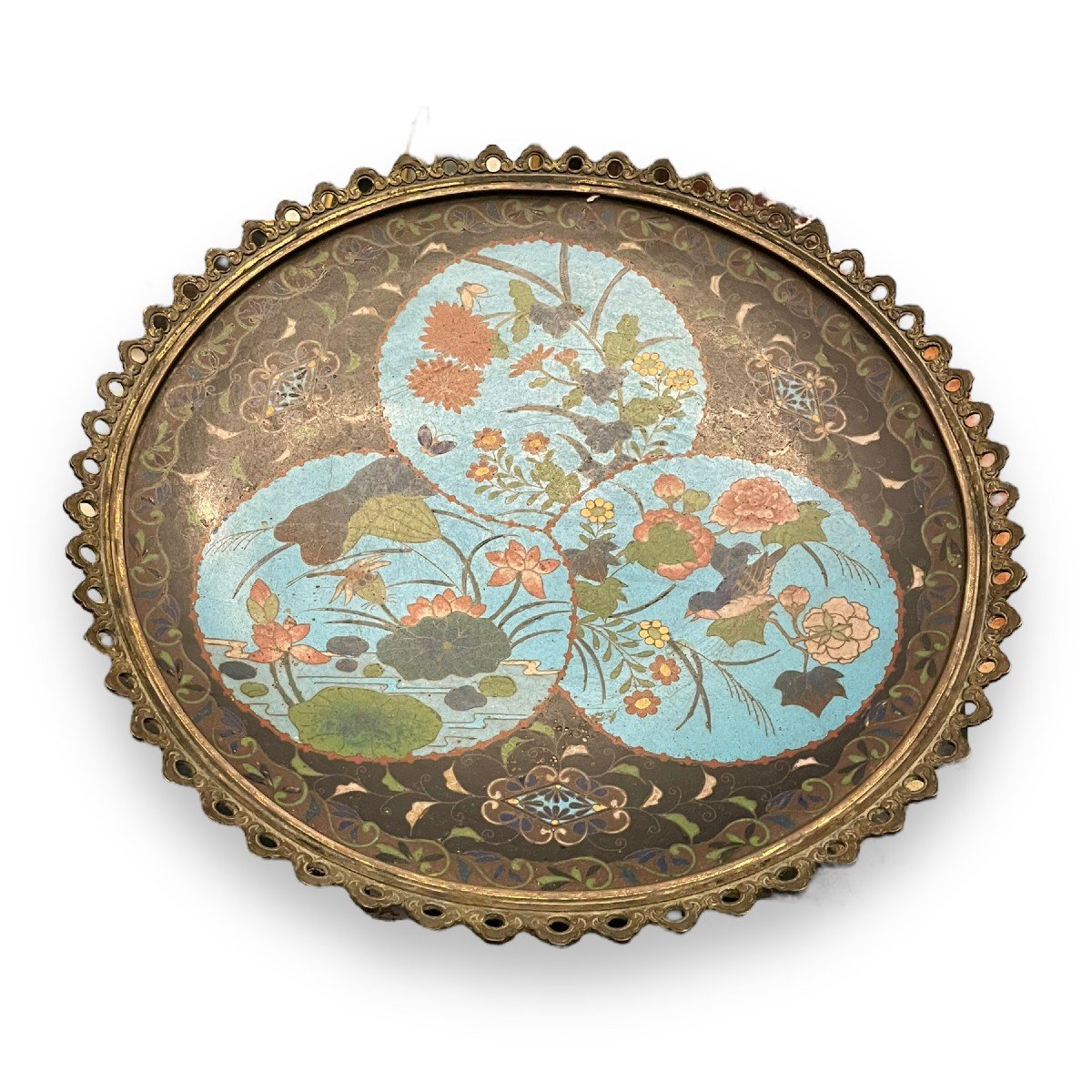 Cloisonne Enamel Dish Decorated With Dragonfly Butterflies Birds Bronze Mount 19th Century Enamels