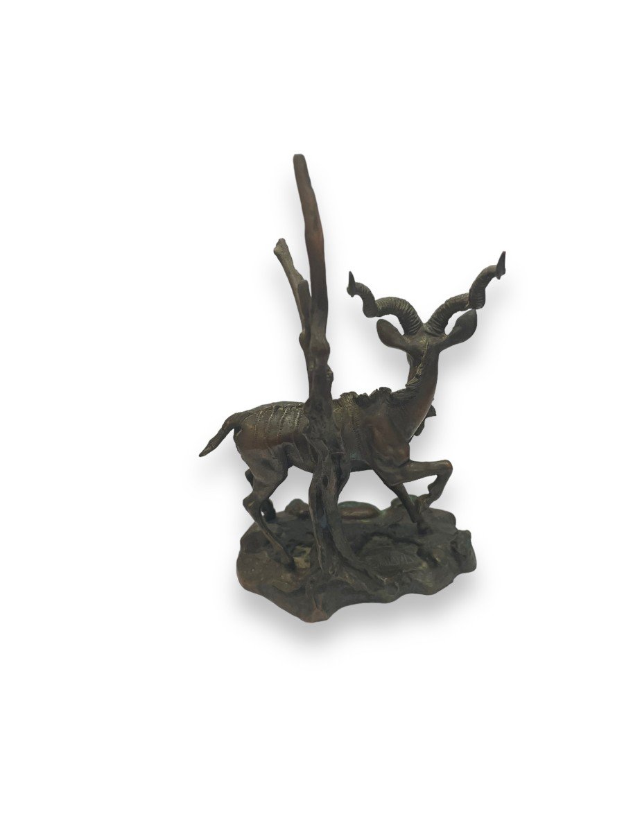 Grand Koudou En Bronze Par Don Polland Pour The Franklin Mint-photo-3